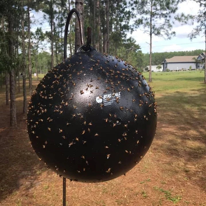 Bug Ball Complete Kit