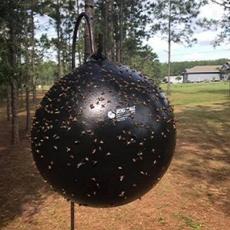 Bug Ball Complete Kit