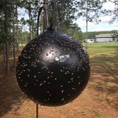 Bug Ball Complete Kit