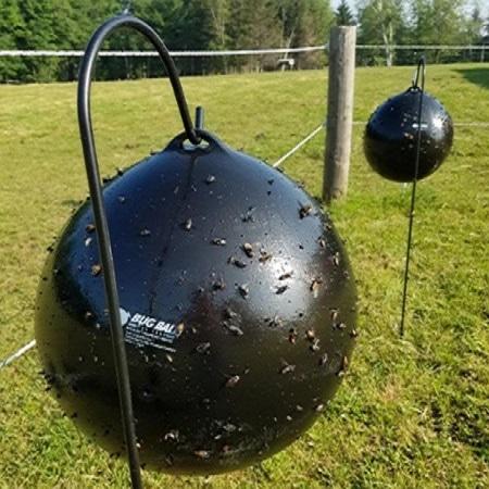 Bug Ball Complete Kit