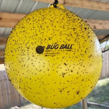 Bug Ball Complete Kit