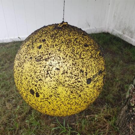 Bug Ball Complete Kit